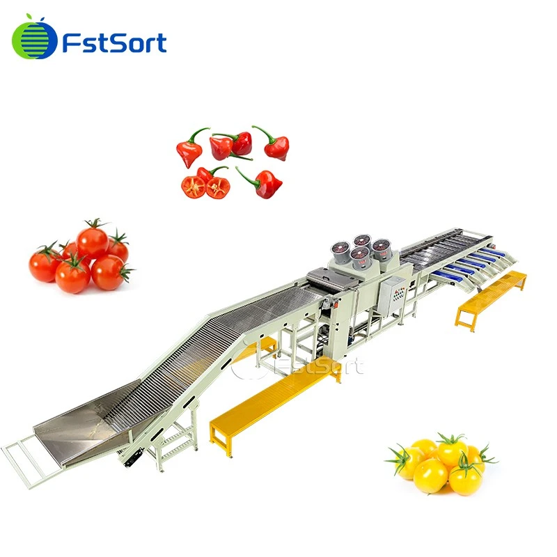 Fstsort High Quality Kiraz Biber Processing Machine Vegetable Grading Machine